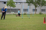 Bellamie im CSC